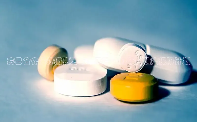 杏宇手游官网入口最新版本更新内容